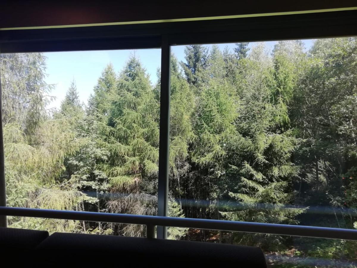 Apartament Finestra Sul Bosco - Monolocale Marilleva 1400 Zewnętrze zdjęcie